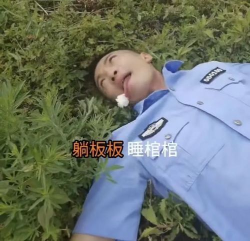 有毒|【提醒】致命毒蘑菇高发季，路边蘑菇不要采！