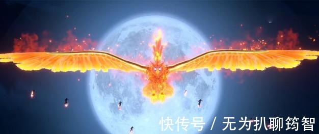 武魂|斗罗大陆:谁是鸟武魂战力之王?白鹤的鸟最弱,马红俊也并非最强