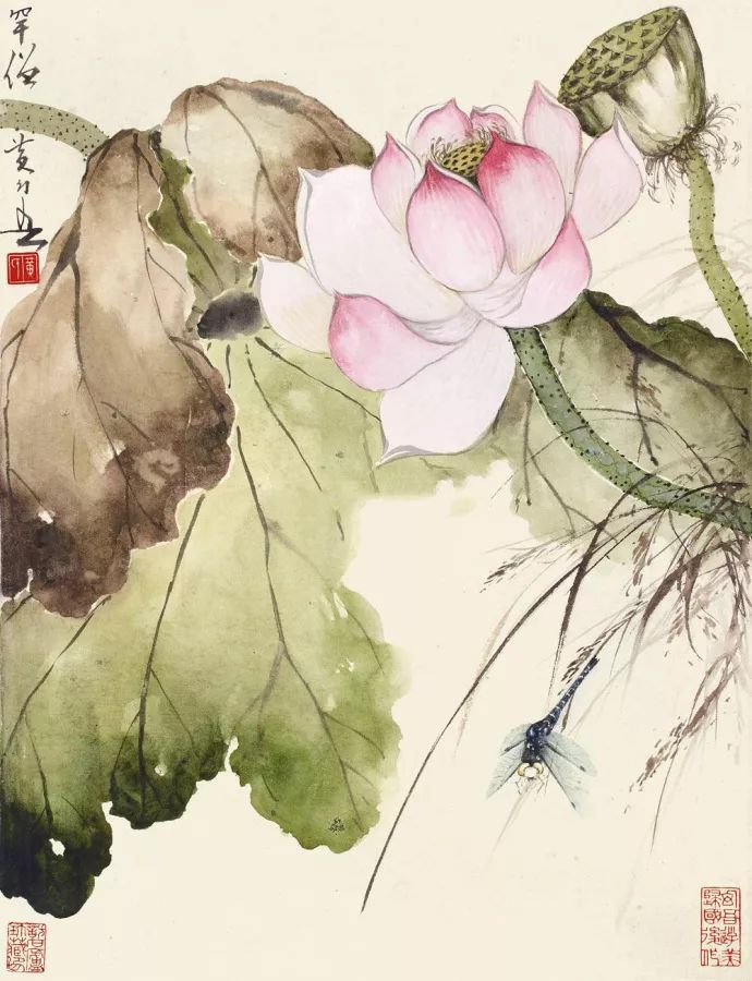 岭南画派|秋日荷塘,惊艳了你的视觉