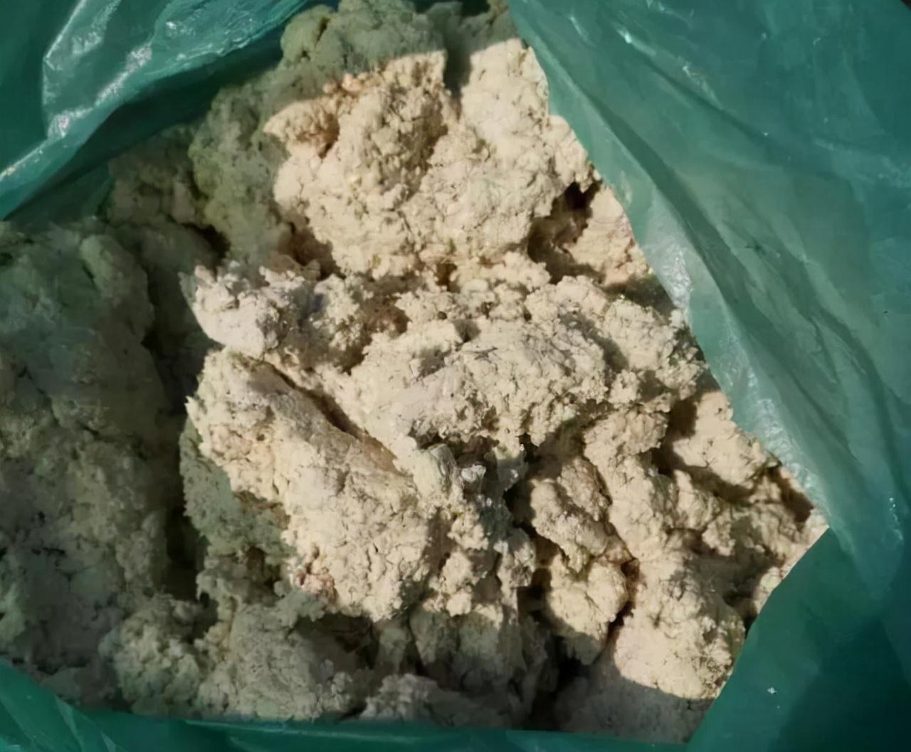 君子兰一点不长,两种傻瓜肥一上,网友养3月像养3年