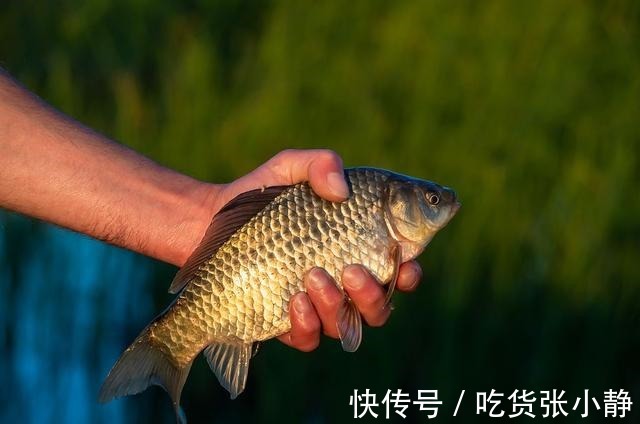 三个小时没鱼口,学会这两招,鱼口马上就不一样了