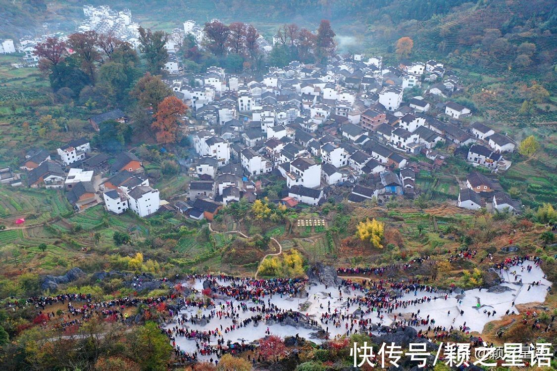 塔川|古村改造的标杆，乌桕树成了摇钱树，赏秋胜地闻名全国