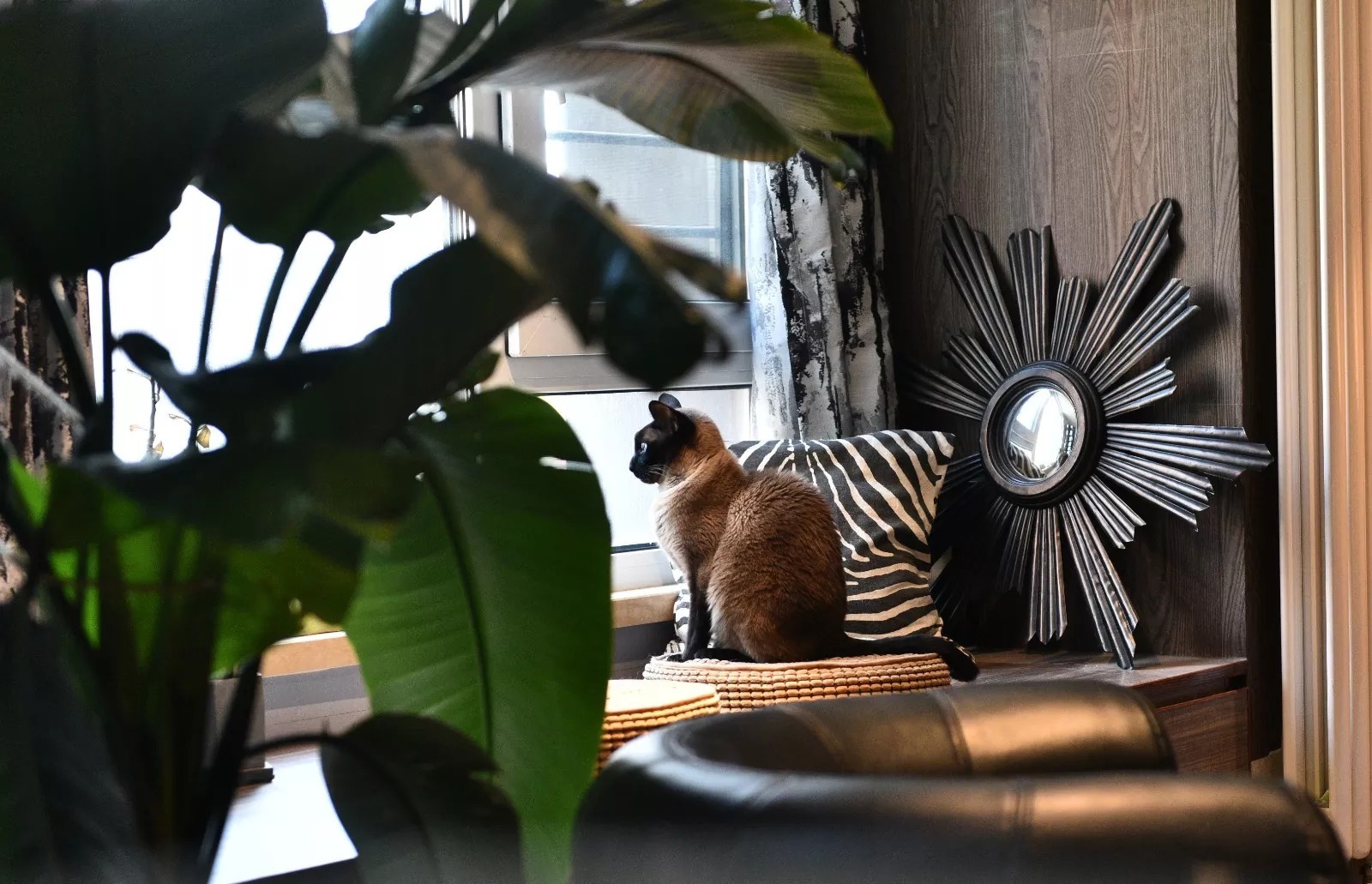 ch年轻人眼中的“新中式”