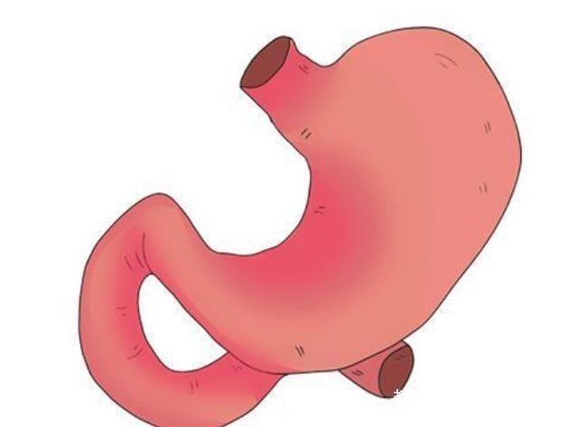 蕨菜|为什么医生建议,平时尽量少吃这6种蔬菜?了解一下,不会吃亏!