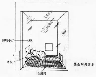 停不下来|【心理健康】斯金纳箱效应：手机明明不好玩，为何还是停不下来