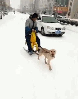 |搞笑GIF:超喜欢这类运动,虽然不刺激,但是超搞笑。