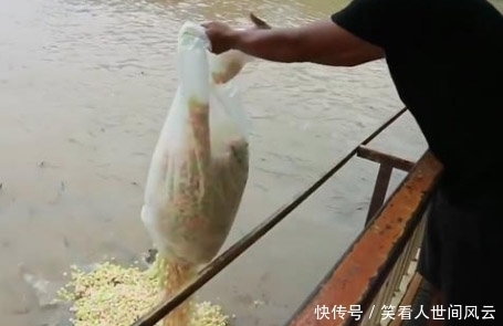  奇迹|两袋爆米花撒入河里，接下来奇迹发生了，我想说的是赶紧下网