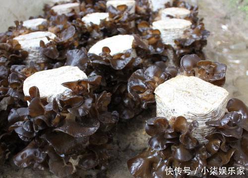 7岁男童被肾衰竭折磨，可能因长期吃“美味早餐”，妈妈懊悔不已