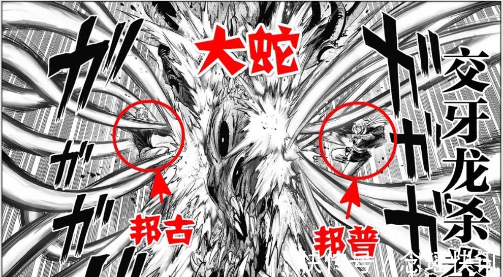 琦玉老师|一拳超人恭喜琦玉挖到“宝”,神级怪人登场,体型巨大姿势夸张