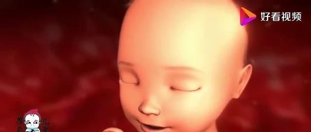 宝宝|孕4月到孕6月,胎宝宝每个月都发育了什么,有点奇妙