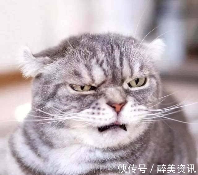 大王饶命&五本设定新颖的小说,让老书虫眼前一亮,拯救书荒