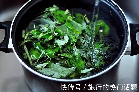 野草|不起眼的野草,却是腰间盘突出的救命草,不妨了解一下