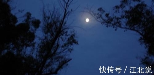 鹧鸪天$诗词鹧鸪天《夜思》