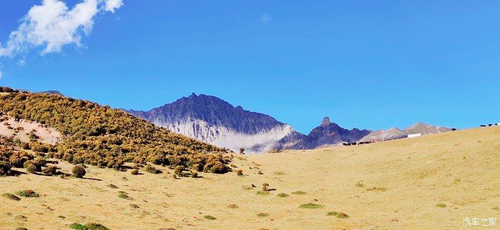 中年|单车单人从北京出发去川西看雪山之六雅拉神山下的藏寨