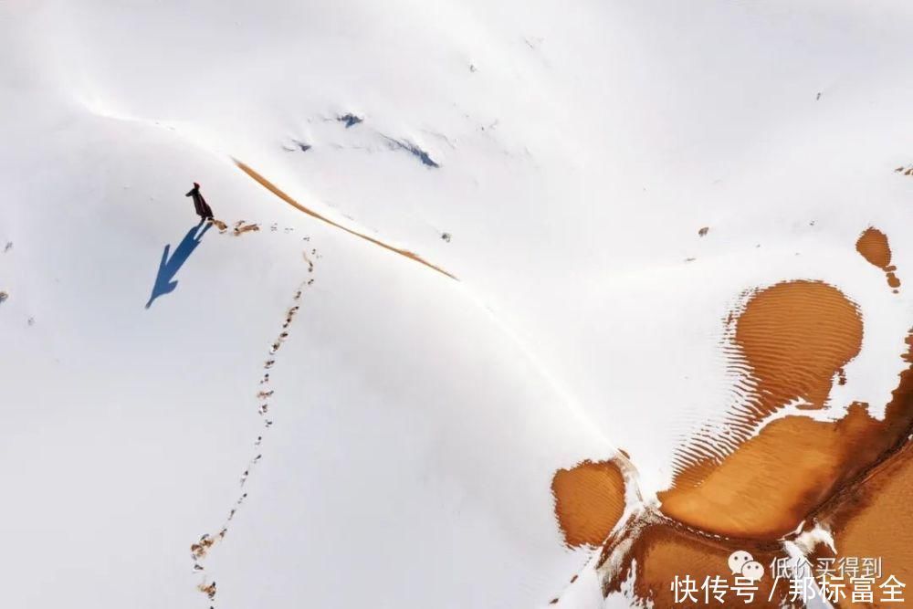 可以将沙漠里看星星列入你的旅行清单了!