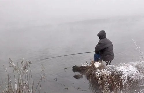 冬天鱼口弱真的不好抓，你可以试试这几招，能有效放大漂讯，提高抓口成功率