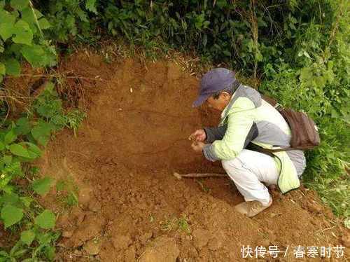 盗墓贼手搭凉棚,深挖15米出现“水墓”,见到古董也不敢拿