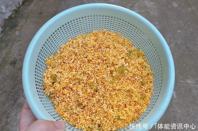 桂花最简单的几种保存方法,学会了一年四季都能吃到桂花做的美食