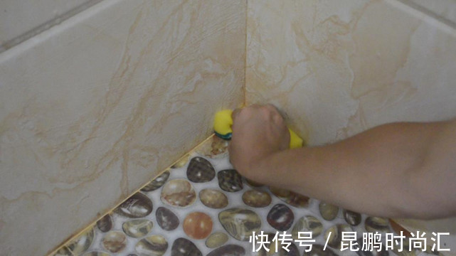 小苏打|卫生间潮湿,会有很多小飞虫,大家有什么妙招可以解决?