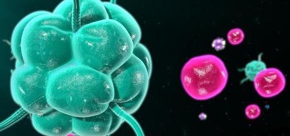 按钮|肿瘤竟能关闭免疫细胞活力按钮,治疗肿瘤方法在哪,你找到没?