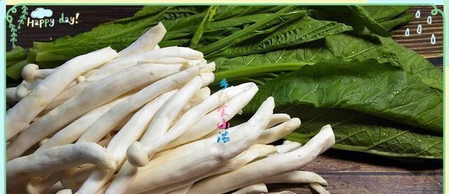 烤杏鲍菇|夏天没胃口,遇上这道菜我就挡不住诱惑了,味道鲜美,还能刮油