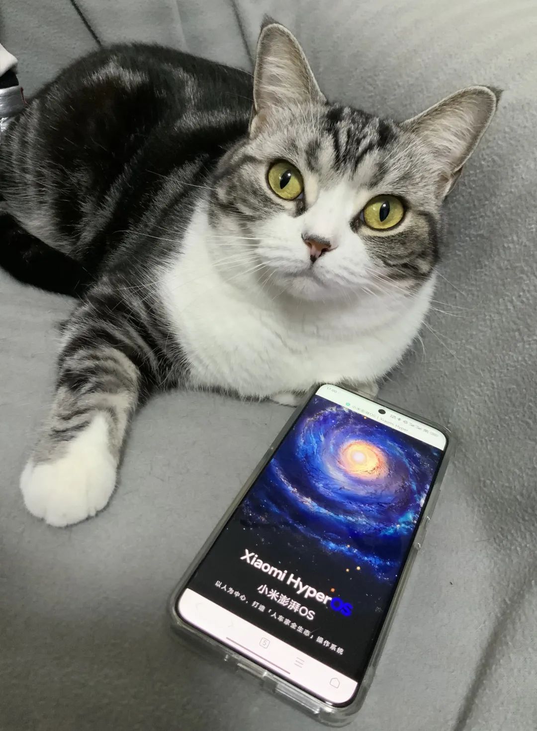 小米 14Pro 刷机及 Magisk 流程-HEU8