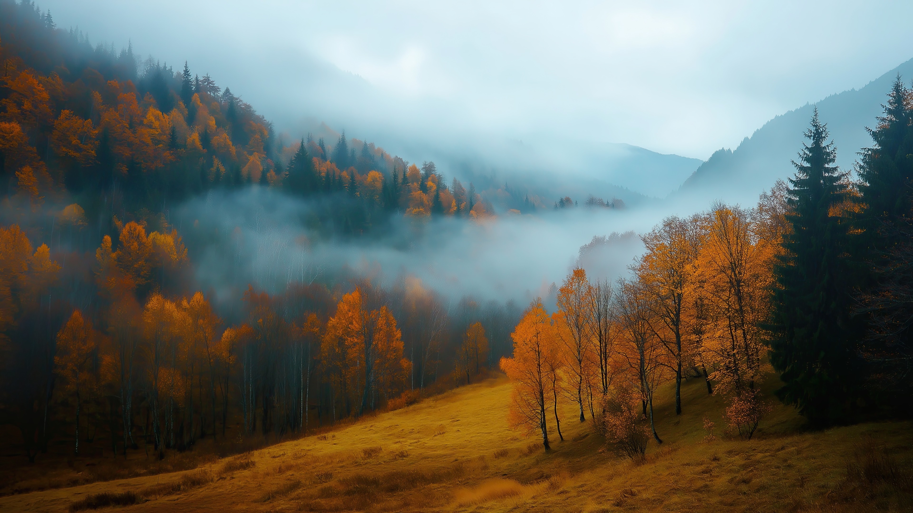 绿软否 | 纯净绿色软件下载站 - 免安装 · 无广告 · 安全免费