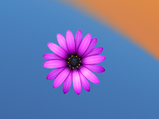 TextMate for Mac v2.0.23 破解版 – 优秀的文本代码编辑软件-下载否