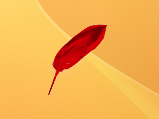 iCalamus for Mac v2.28 破解版 – 专业版面设计软件-NobyDa