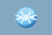 FrostWire v6.13.5 Build 325 P2P文件共享软件-NobyDa