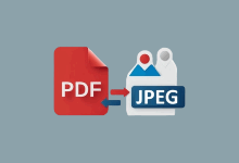 ASCOMP PDF Imager Pro v2.009 便携破解版 – PDF转图片工具-下载否