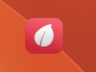 Leaf for Mac v5.2.4 破解版 – RSS新闻阅读的终极工具-NobyDa