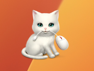 Shortcat for Mac v0.12.2 免费版 – 键盘快捷控制任意窗口-下载否