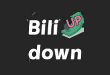 Bilidown v1.0.8 B站视频下载-NobyDa